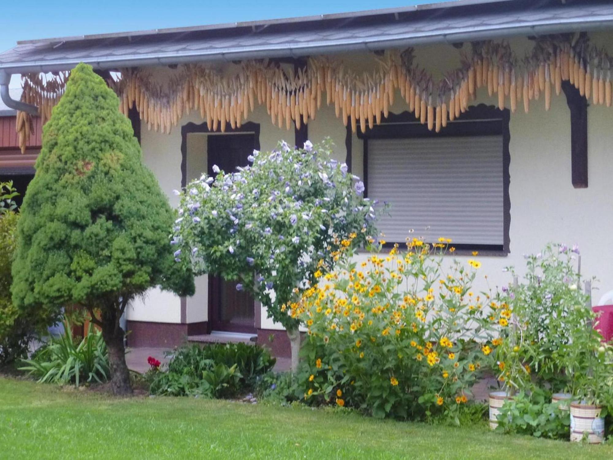 Bungalow In L Bben With A Terrace 뤼벤 외부 사진