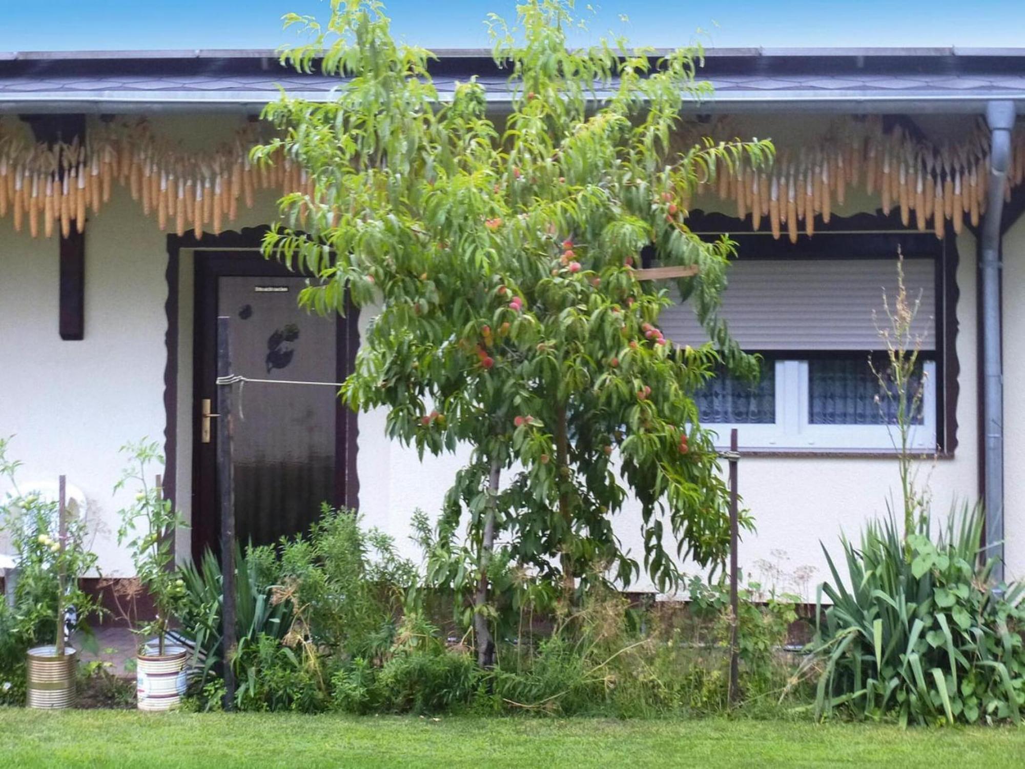 Bungalow In L Bben With A Terrace 뤼벤 외부 사진